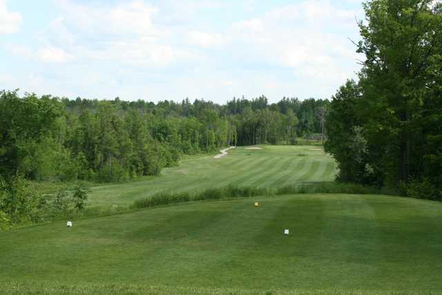 Whitetail Golf Club In Eganville TeeTimes
